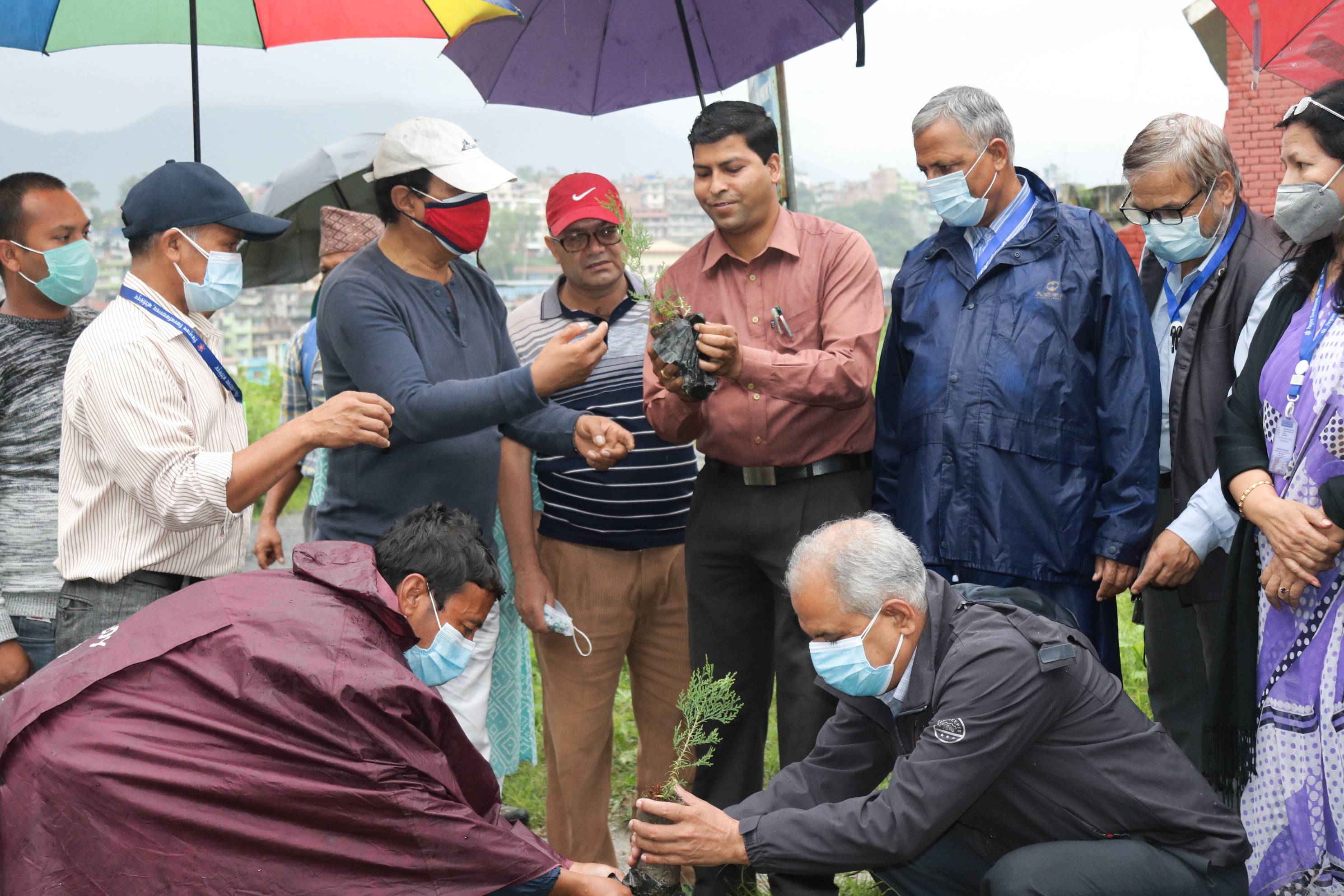 ग्लोबल आइएमई बैंक र विश्व विद्यालय क्याम्पसको सहकार्यमा वृक्षारोपण कार्यक्रम सम्पन्न