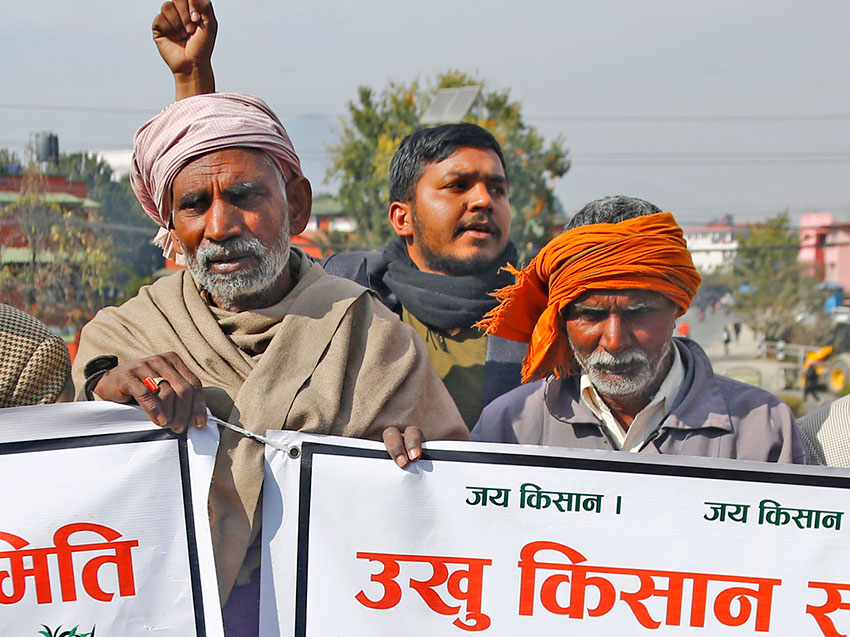 दशैंको मुखमा  उखु किसानलाई सरकारले पनि दिएन रकम