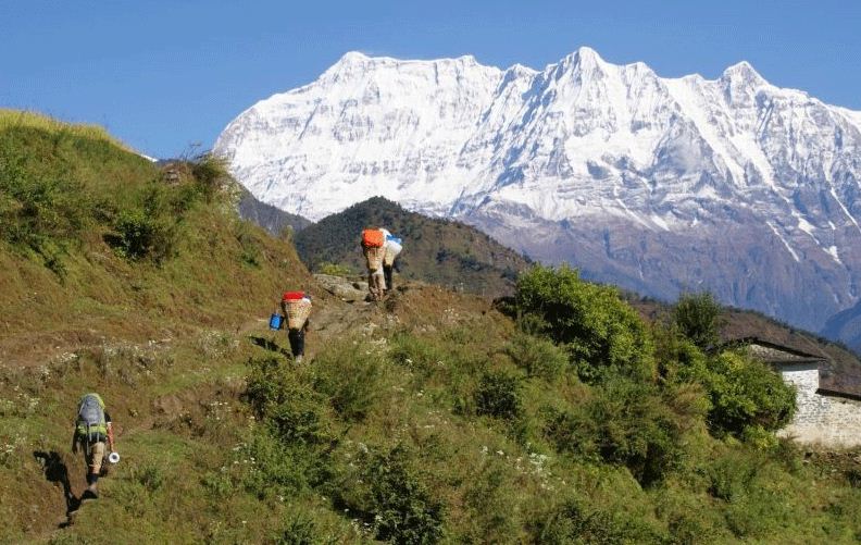 पचालझरनामा पदमार्ग बन्दै