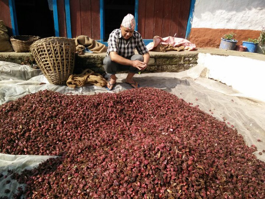 चिया र अलैँची लक्षित कर सुधार तथा राजस्वसम्बन्धी छलफल