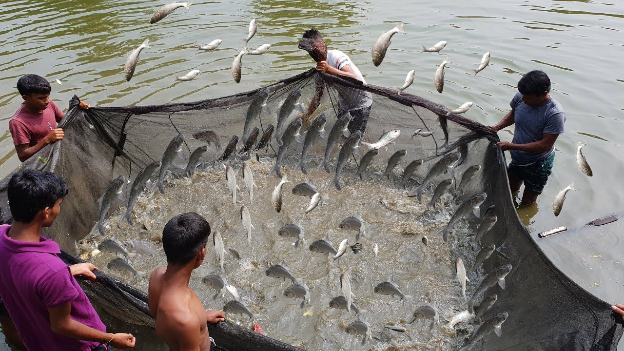 माछा उत्पादनबाट मनग्य आम्दानी