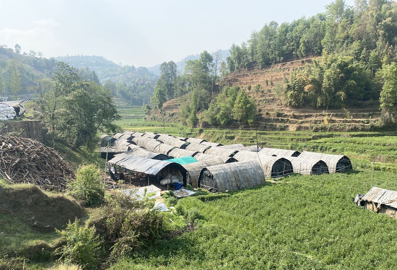 व्यावसायिक रुपमा गरिएको सित्ताके च्याऊ खेती