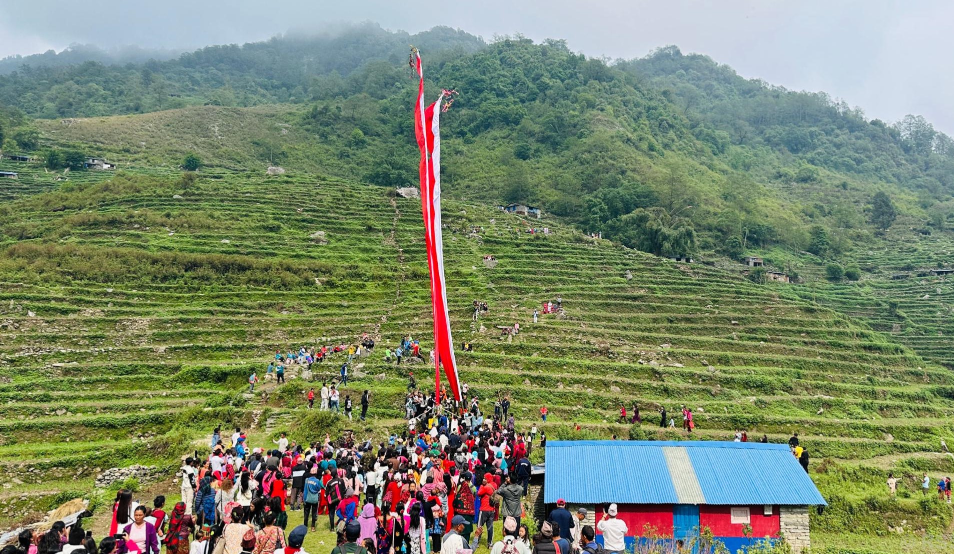 सयौँ वर्ष पुरानो ‘लिङ्गो जुधाउने’ अनौठो संस्कृतिको निरन्तरता