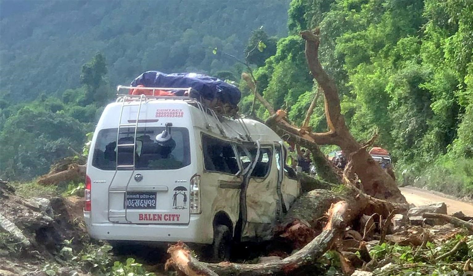 गुडिरहेको माइक्रो बसमाथि रुख ढल्दा नौ यात्रु घाइते