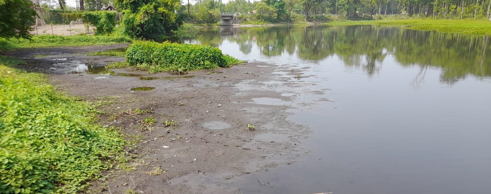 सिमसार क्षेत्रको अतिक्रमणले कछुवा जोखिम