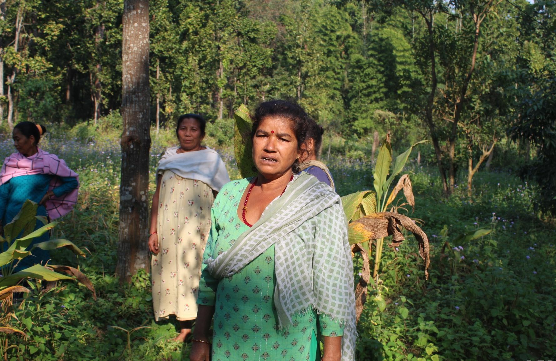 वनको खाली जग्गामा खेती गरेर आम्दानी गर्दै महिला