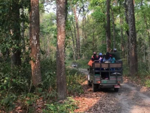 चितवनलाई जैविक विविधता तथा वन्यजन्तुको पर्यटकीय राजधानी घोषणा गरिने