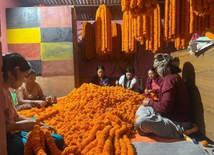 काठमाडौं महानगरले तोक्यो फूल बेच्न ४६ ठाउँ, प्लाष्टिकका फूल प्रतिबन्ध