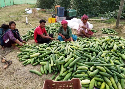 बजार लैजान काँक्रो व्यवस्थापन गरिँदै