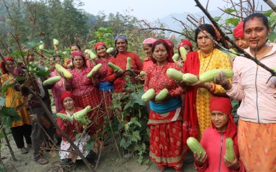 सामूहिक कृषिमा महिलाको आकर्षण बढ्दो