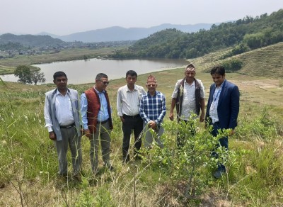 बाँदरले हैरान पारेपछि धानखेती छोडेर किसान कागतीखेतीमा