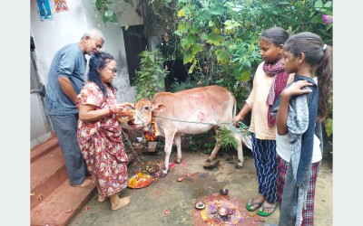 कात्तिक शुक्ल प्रतिपदा: गाई पूजा  गोरु, गोवर्द्धन र हली पूजा आज