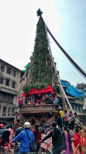 सेतो मच्छिन्द्रनाथको रथयात्रा आजबाट शुरु