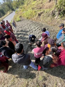 बेनीमा माटोको गुणस्तरमा ह्रास