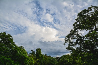 तिहार विशेष मौसम बुलेटिन :  झरी पर्ने देखिँदैन