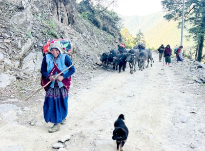 लेक उक्लिदै गोठाला