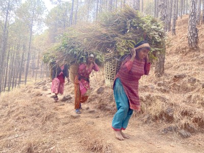 खाली खुट्टामै घाँस बोक्दै महिला