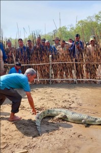 घडियाल गोही चौधर नदीमा छोडिदै