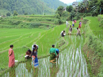 बागमती प्रदेशमा कृषिबाटै खान नपुग्ने परिवार ५६ प्रतिशत