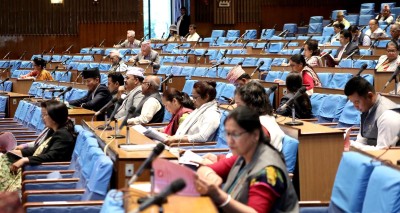 विनियोजन विधेयकअन्तर्गत तीन मन्त्रालयका विभिन्न शीर्षकमा छलफल सम्पन्न