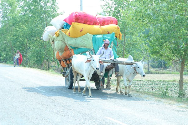 गोरुगाडा