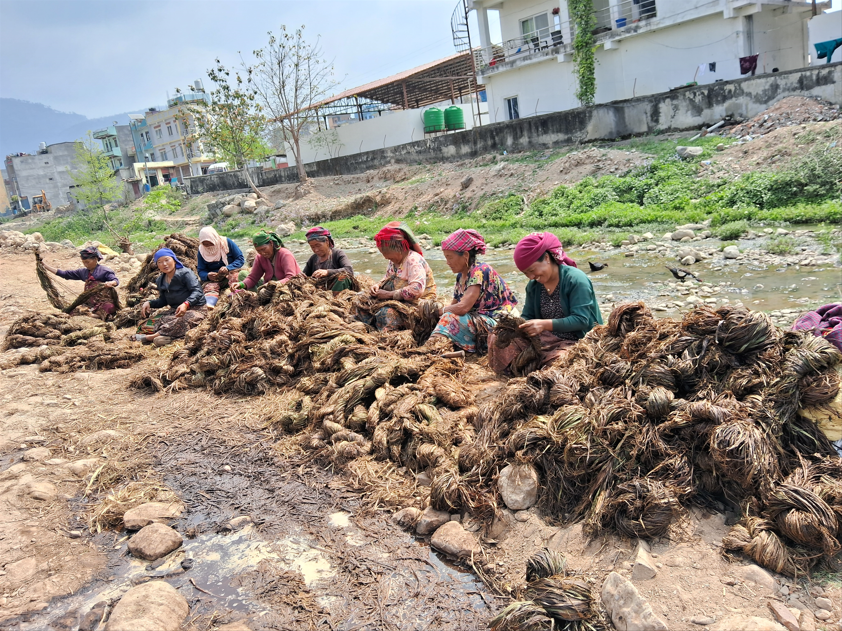 अल्लो उद्योगमा ३५ जना बढी महिलालाई रोजगारी