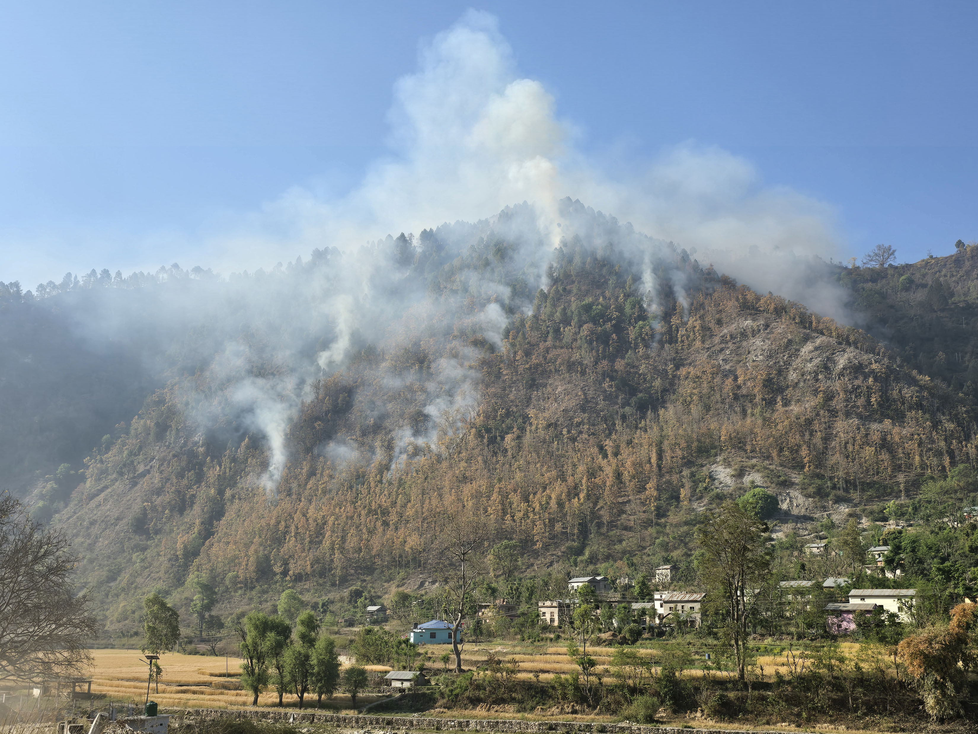 जङ्गलमा आगलागी