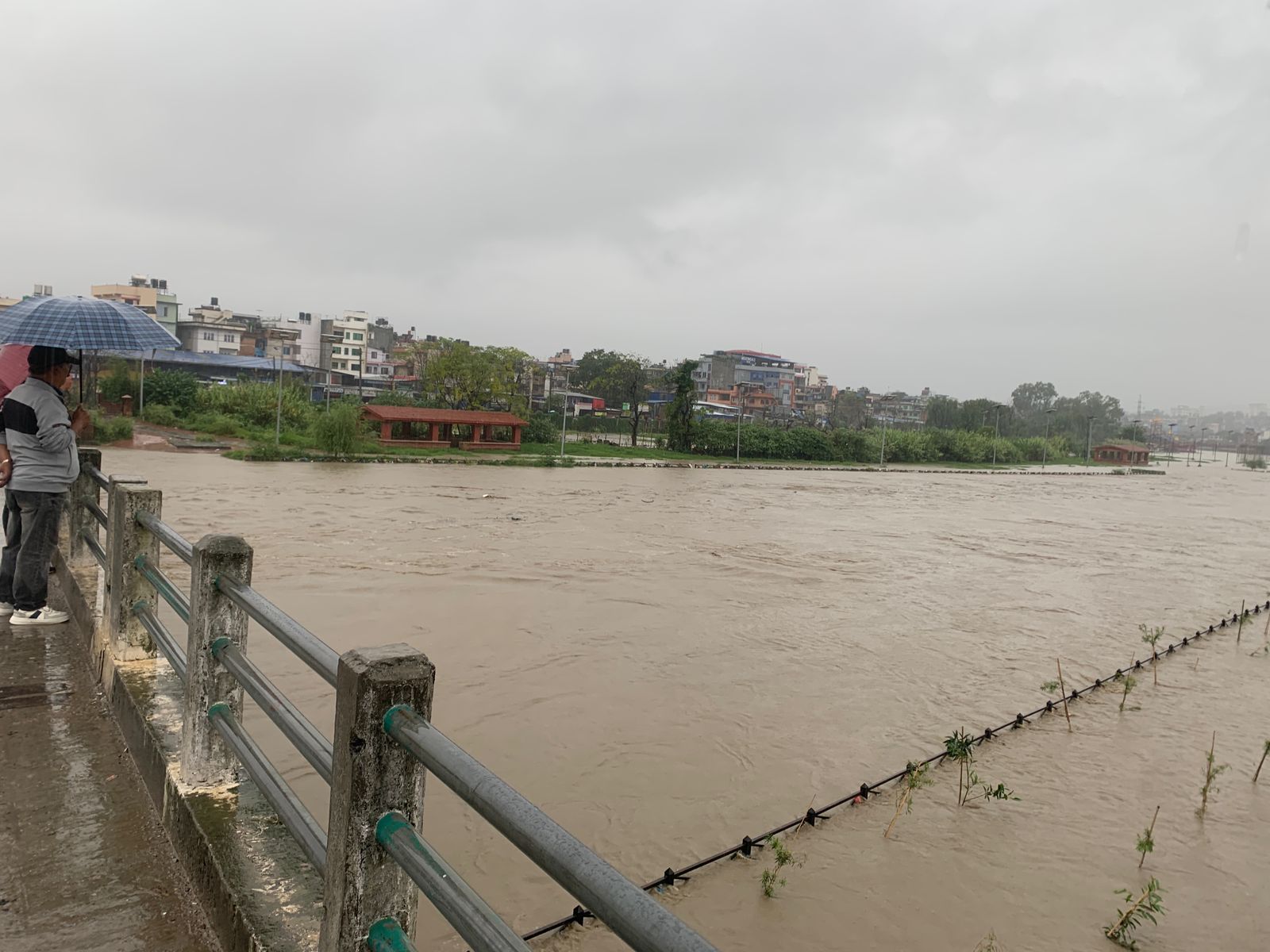 बाह्र घण्टायता देशैभर मध्यमदेखि भारी वर्षा