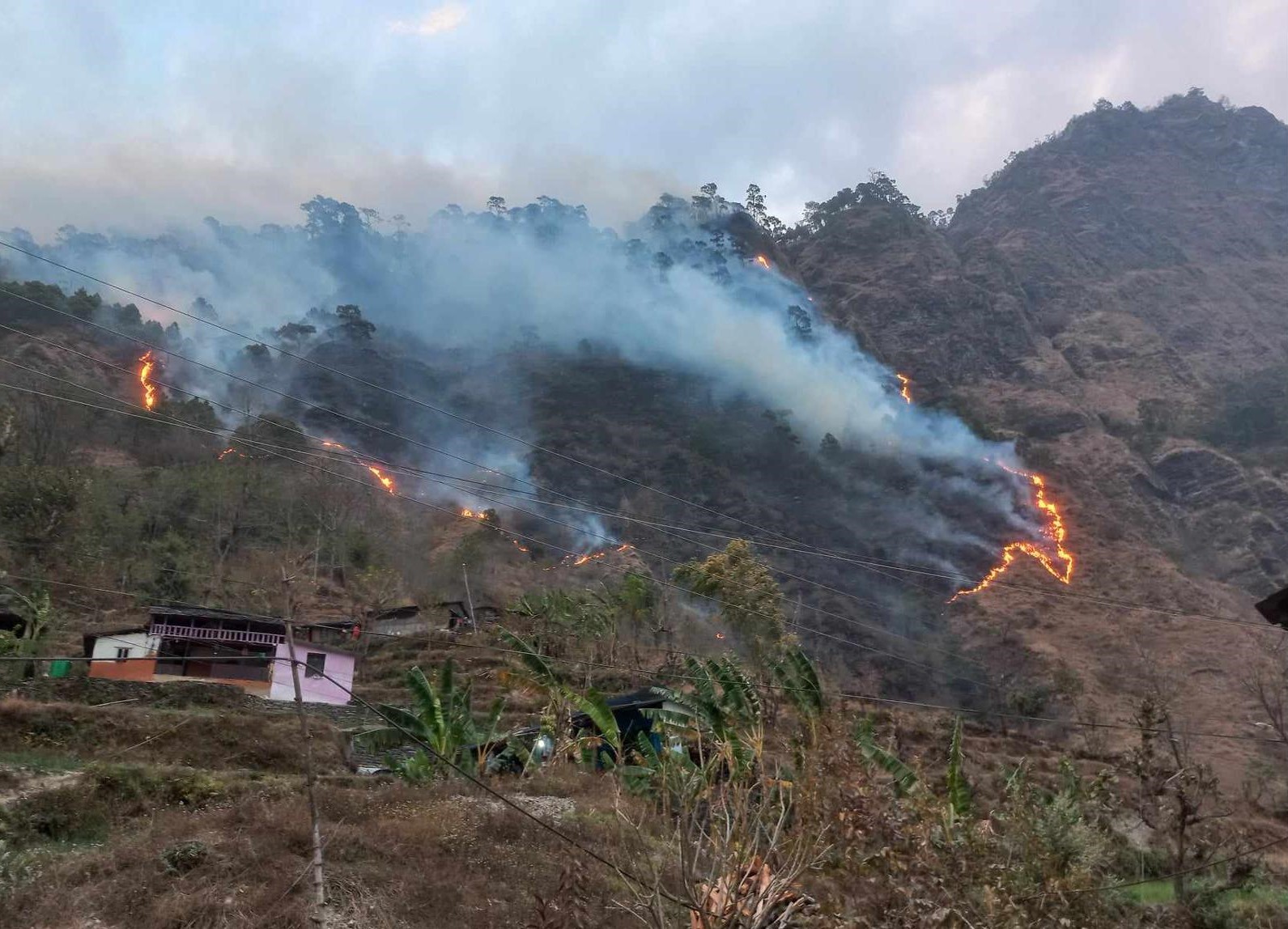 डढेलोले उदयपुरमा तीन सय हेक्टर वनमा क्षति